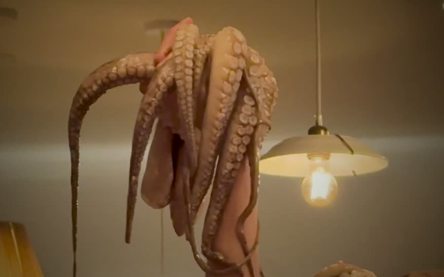 Villa Lev Films still: a hand holds up a raw octopus beside a glowing pendant lamp